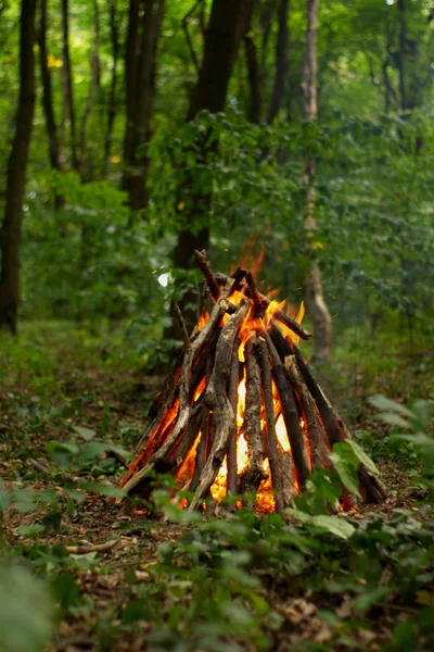 Ormanda şenlik ateşi.