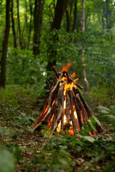 Bonfire in het bos. — Stockfoto