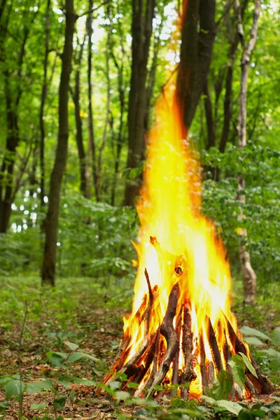 Bonfire ในป่า . — ภาพถ่ายสต็อก