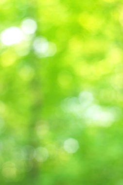 Yeşil arkaplanda soyut parlayan ışık