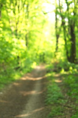 Yeşil arkaplanda soyut parlayan ışık