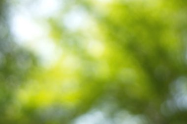 Yeşil arkaplanda soyut parlayan ışık