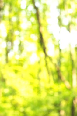 Yeşil arkaplanda soyut parlayan ışık