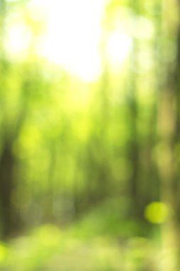 Yeşil arkaplanda soyut parlayan ışık