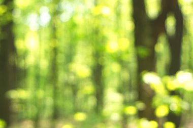 Yeşil arkaplanda soyut parlayan ışık