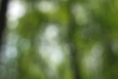 Yeşil arkaplanda soyut parlayan ışık