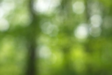 Yeşil arkaplanda soyut parlayan ışık