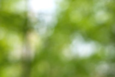 Yeşil arkaplanda soyut parlayan ışık