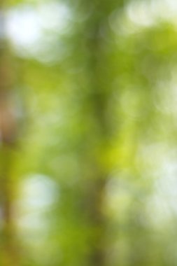 Yeşil arkaplanda soyut parlayan ışık