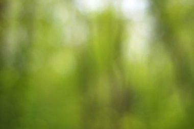 Yeşil arkaplanda soyut parlayan ışık