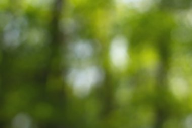 Yeşil arkaplanda soyut parlayan ışık