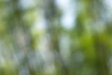 Yeşil arkaplanda soyut parlayan ışık