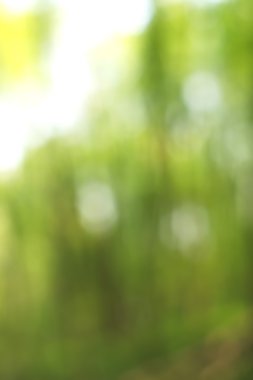 Yeşil arkaplanda soyut parlayan ışık