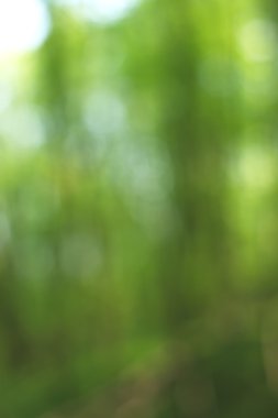 Yeşil arkaplanda soyut parlayan ışık