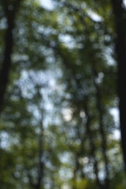 Yeşil arkaplanda soyut parlayan ışık