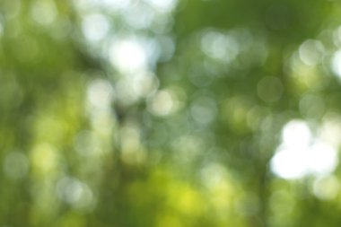 Yeşil arkaplanda soyut parlayan ışık