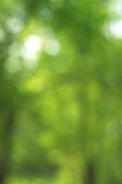 Yeşil arkaplanda soyut parlayan ışık