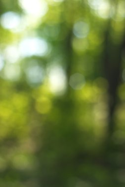 Yeşil arkaplanda soyut parlayan ışık