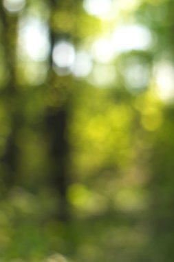 Yeşil arkaplanda soyut parlayan ışık