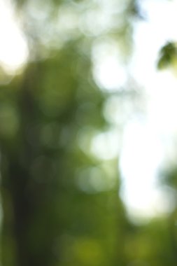 Yeşil arkaplanda soyut parlayan ışık