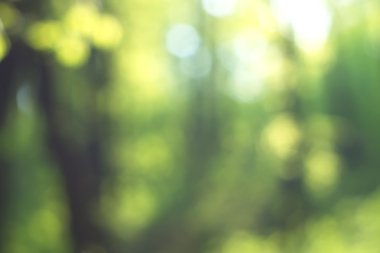 Yeşil arkaplanda soyut parlayan ışık