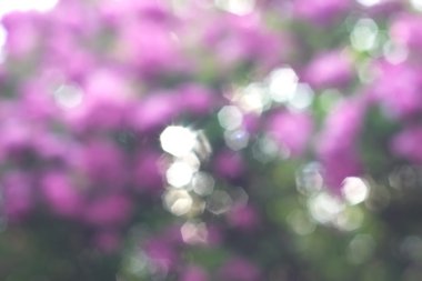 Yeşil arkaplanda soyut parlayan ışık