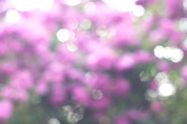 Yeşil arkaplanda soyut parlayan ışık