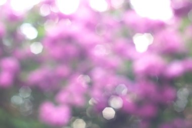 Yeşil arkaplanda soyut parlayan ışık