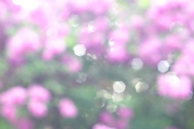 Yeşil arkaplanda soyut parlayan ışık