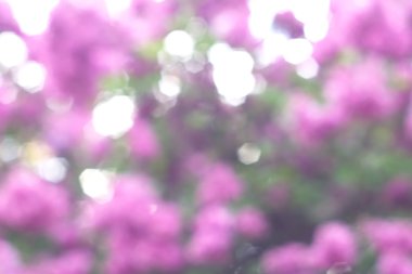 Yeşil arkaplanda soyut parlayan ışık