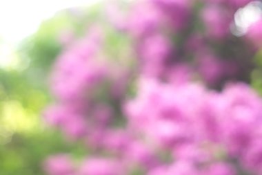 Yeşil arkaplanda soyut parlayan ışık