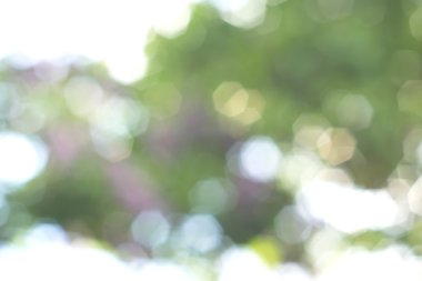 Yeşil arkaplanda soyut parlayan ışık