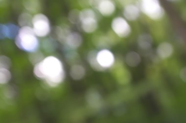 Yeşil arkaplanda soyut parlayan ışık