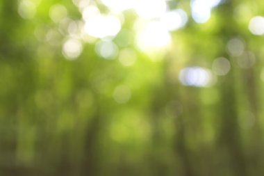 Yeşil arkaplanda soyut parlayan ışık