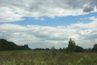 Yeşil arkaplanda soyut parlayan ışık