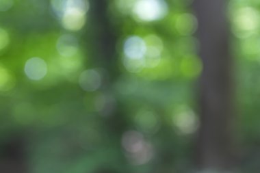 Yeşil arkaplanda soyut parlayan ışık