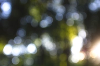 Yeşil arkaplanda soyut parlayan ışık