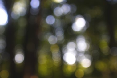 Yeşil arkaplanda soyut parlayan ışık