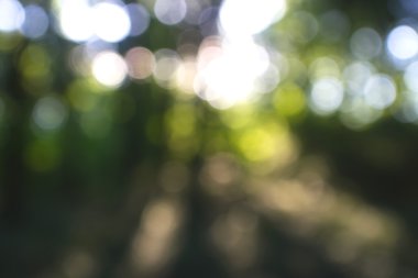 Yeşil arkaplanda soyut parlayan ışık