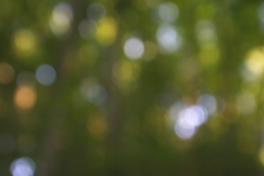 Yeşil arkaplanda soyut parlayan ışık