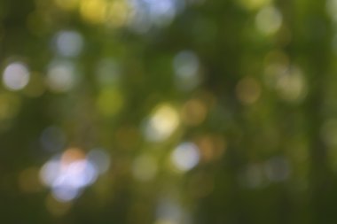 Yeşil arkaplanda soyut parlayan ışık