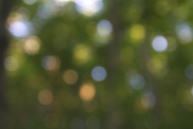 Yeşil arkaplanda soyut parlayan ışık