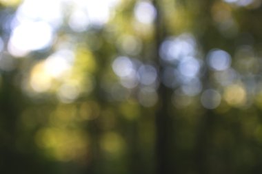 Yeşil arkaplanda soyut parlayan ışık