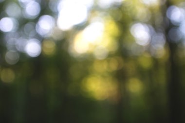 Yeşil arkaplanda soyut parlayan ışık