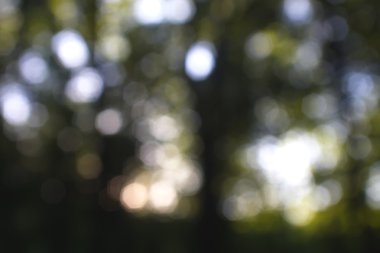 Yeşil arkaplanda soyut parlayan ışık