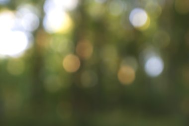 Yeşil arkaplanda soyut parlayan ışık