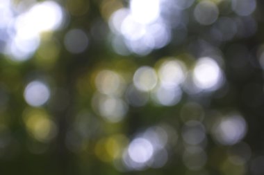 Yeşil arkaplanda soyut parlayan ışık