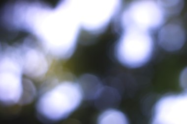 Yeşil arkaplanda soyut parlayan ışık