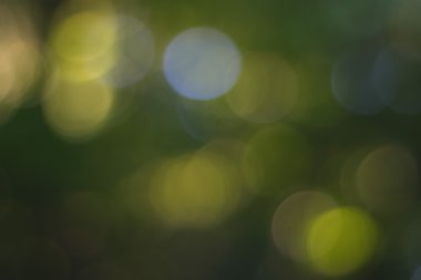 Yeşil arkaplanda soyut parlayan ışık