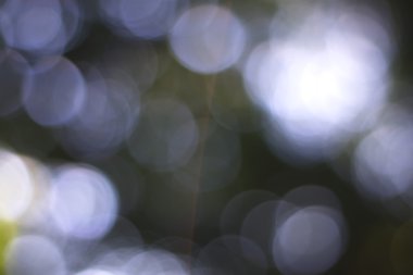 Yeşil arkaplanda soyut parlayan ışık